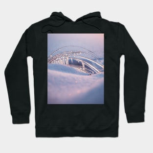 Frozen grass and snow shapes Hoodie